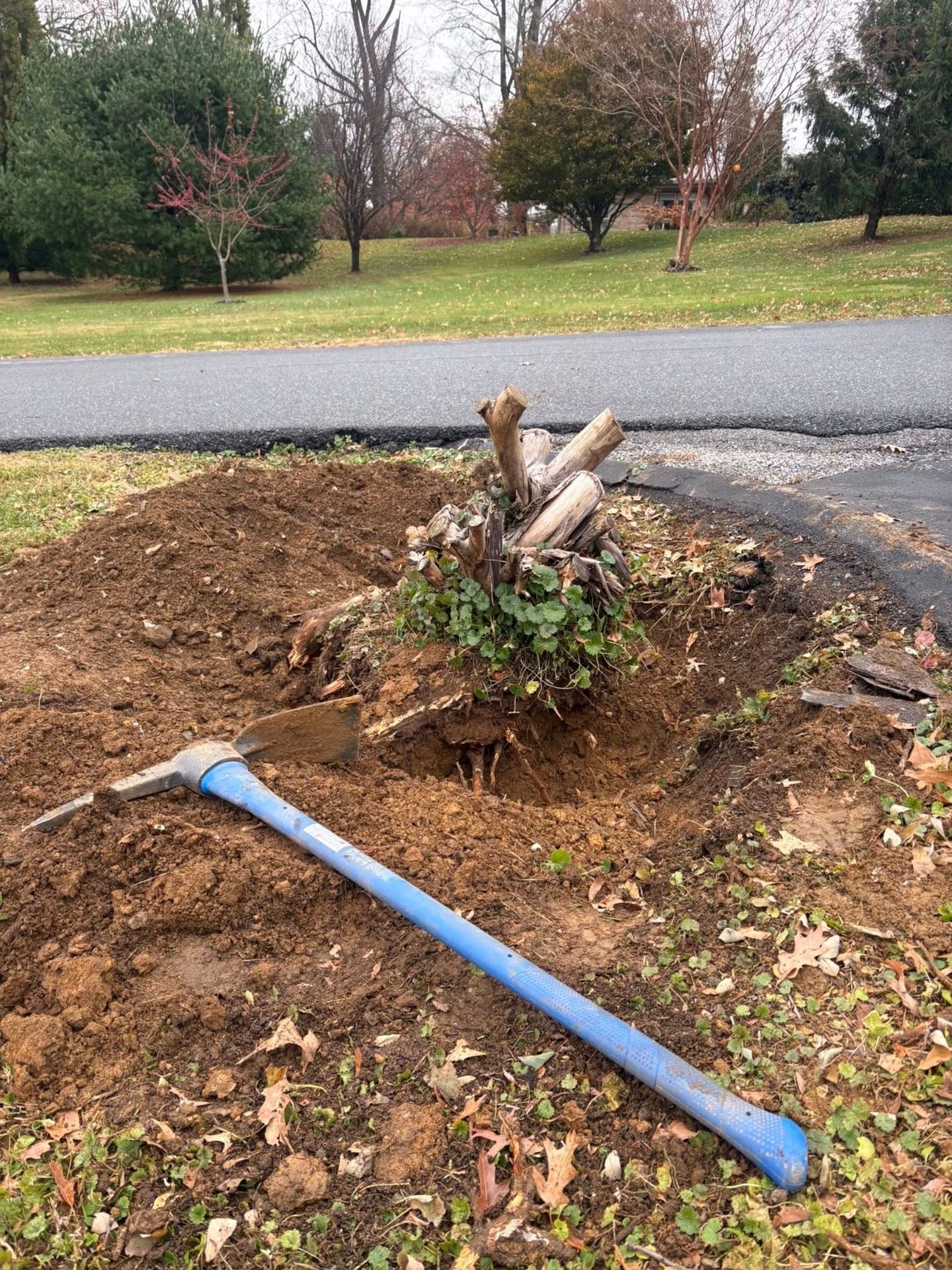 Frequently Asked Questions