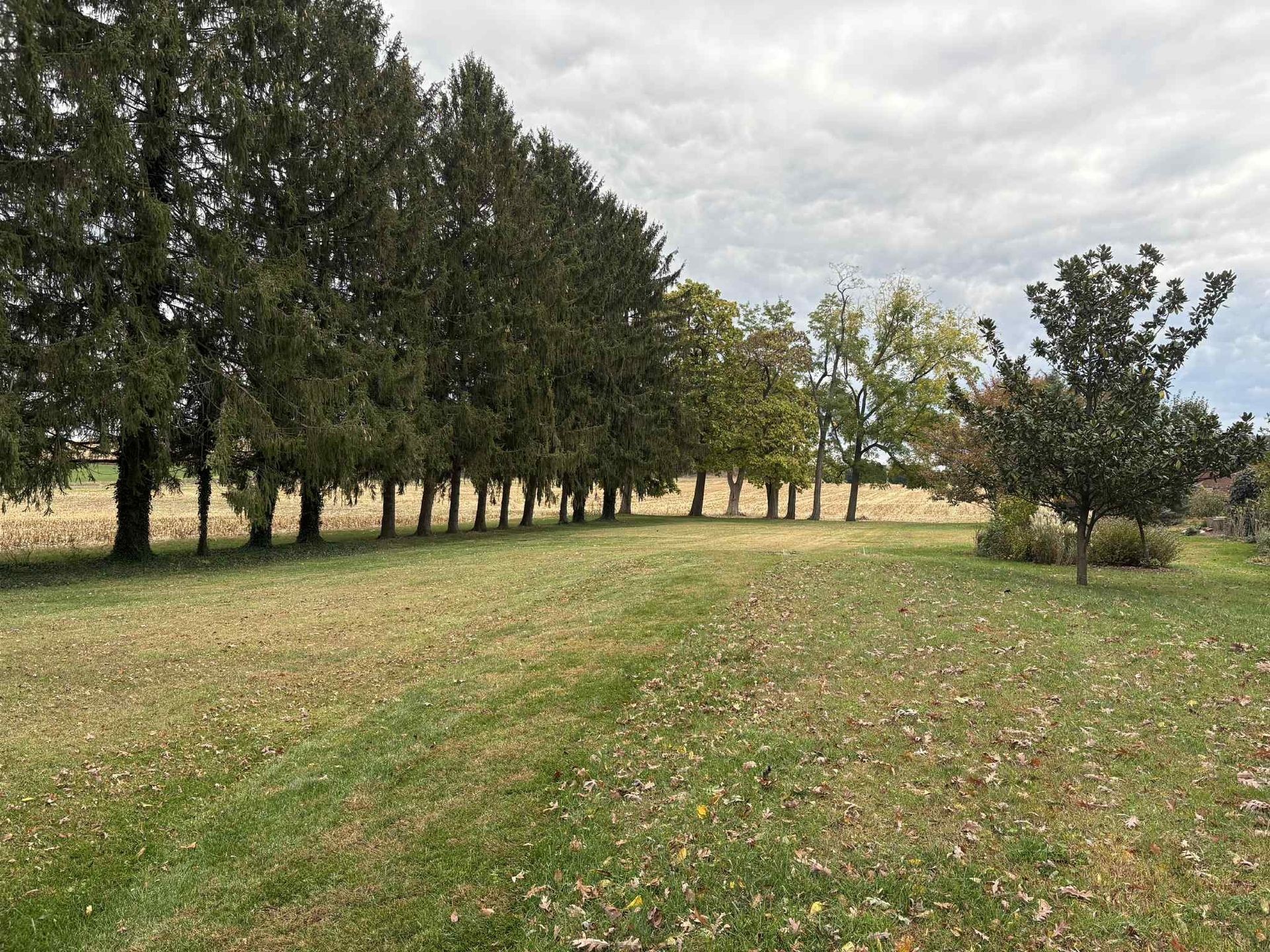 Residential Lawncare