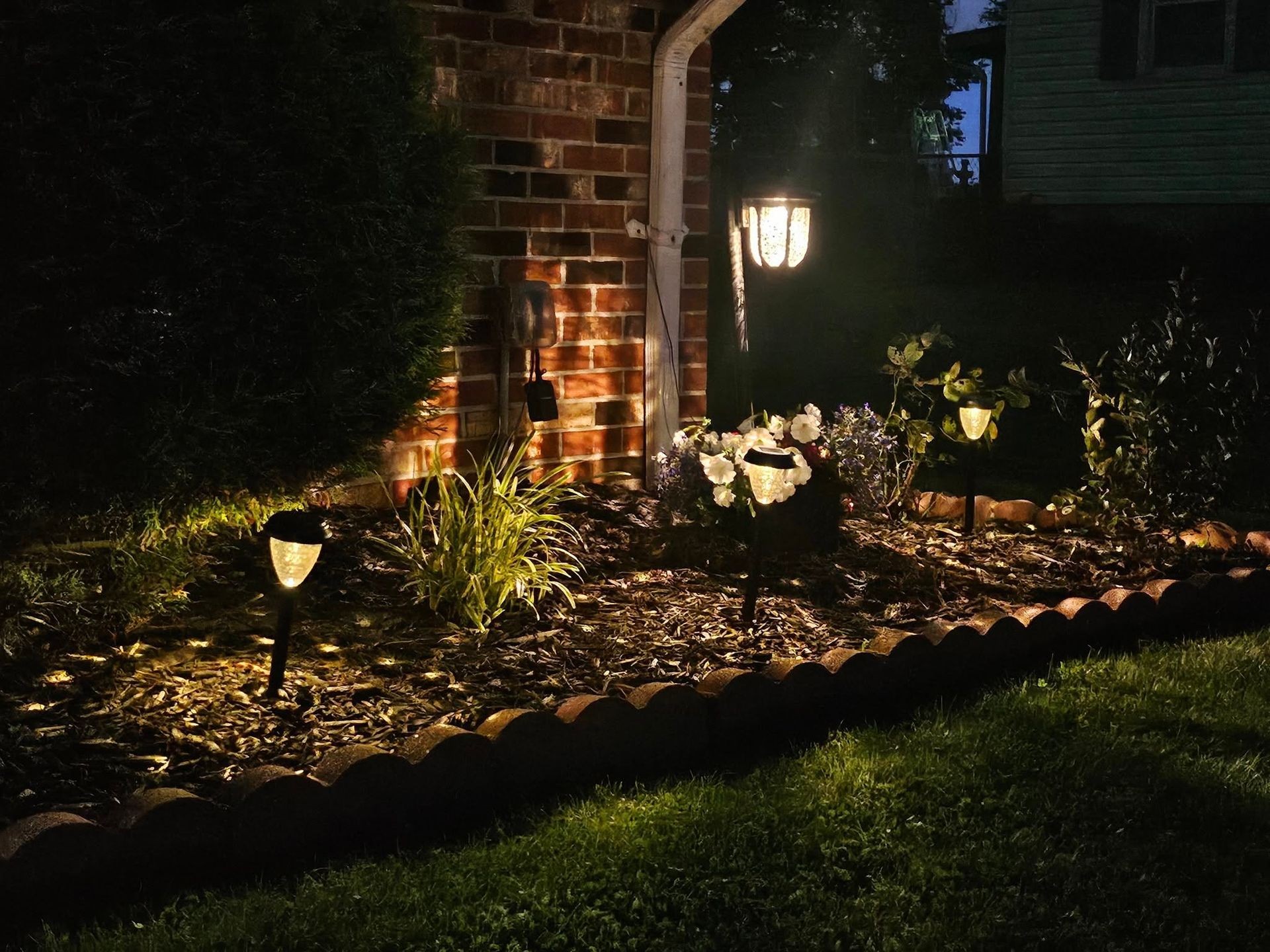 Night-Time Vibrant 